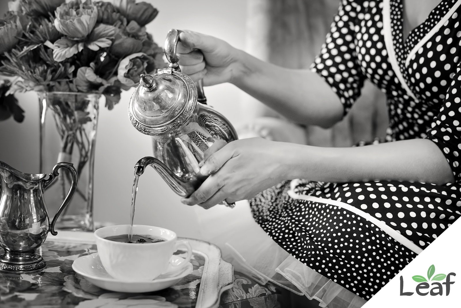 Highest Quality CBD Products